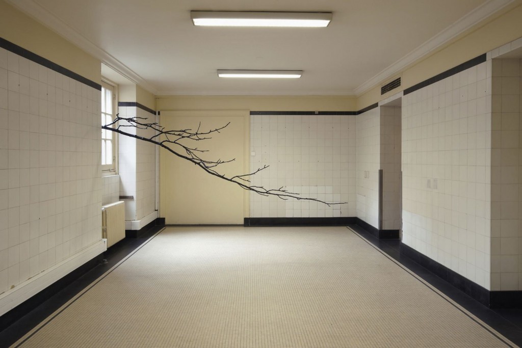 Paula Anta. Arbre 01. Serie L'Architecture des arbres
