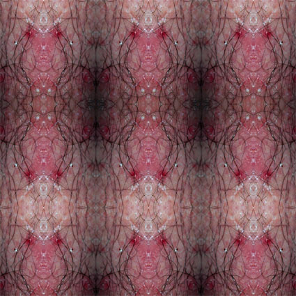 Patricia Albajar. Derma, 2011. Colección particular