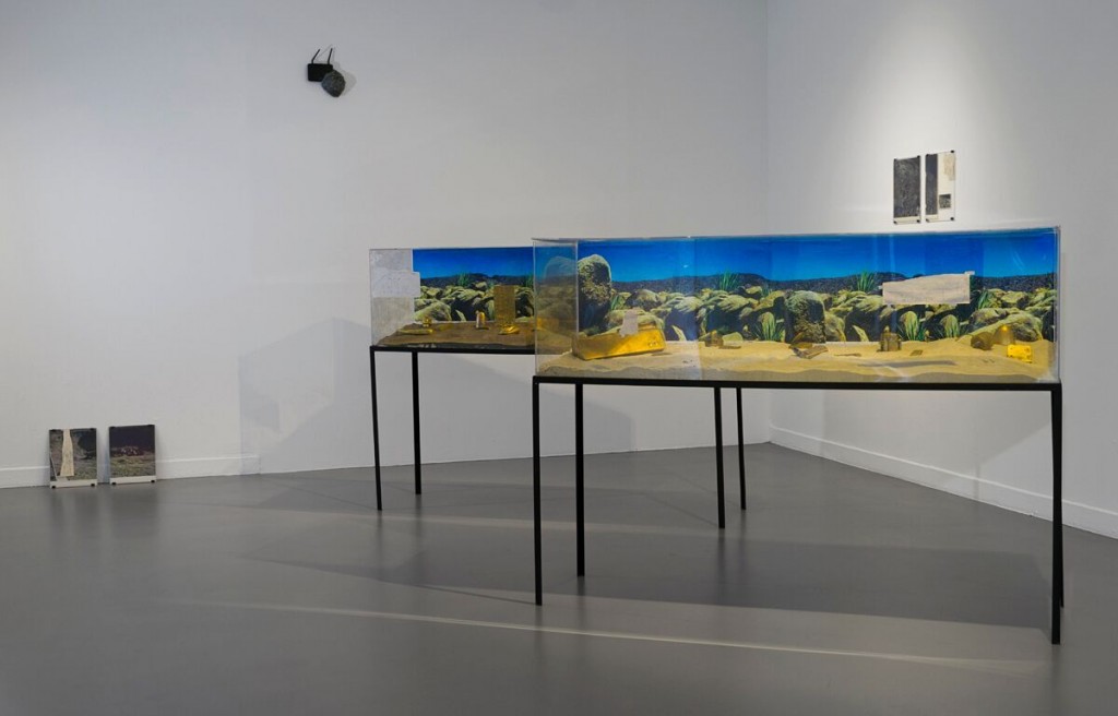 Fernando García-Dory. Tierras raras