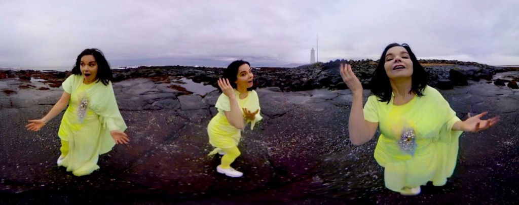 Björk. Stonemilker