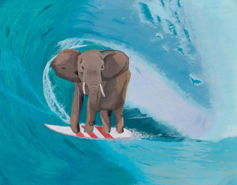 Martín Rosende. Elefante surfista