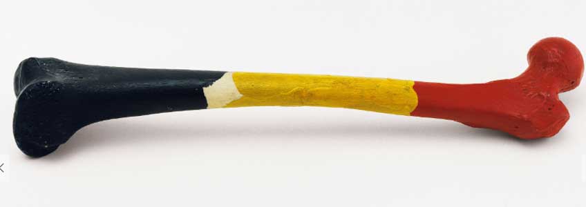 Marcel Broodthaers. Fémur de hombre belga, 1964-1965