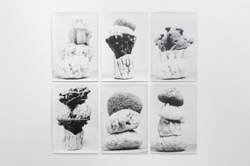 Jochen Lempert