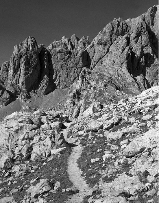 Hamish Fulton. Walking on and off the Path