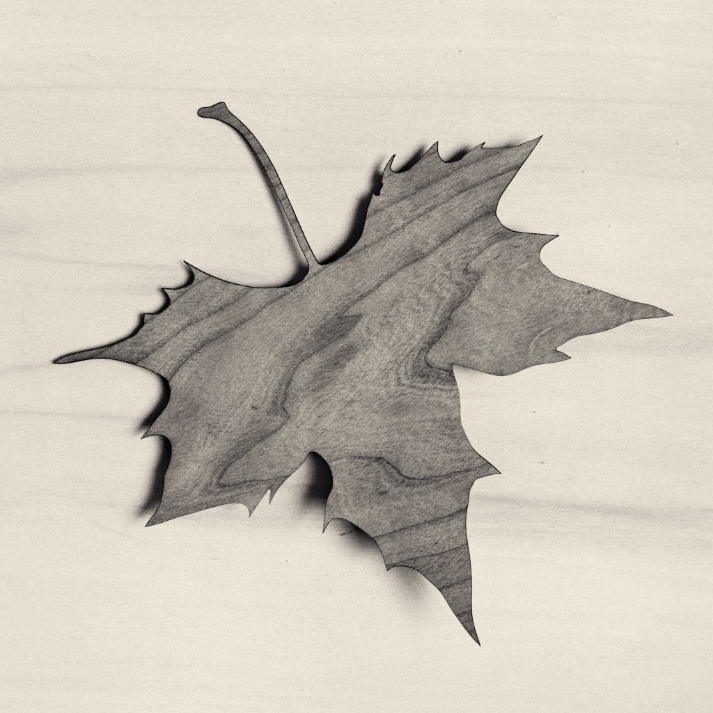 Chema Madoz. Serie "El viajero inmóvil, 2016. Miradas de Asturias, 2017"