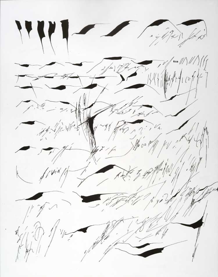 "Mirtha Dermisache. Porque ¡yo escribo! " en el MALBA