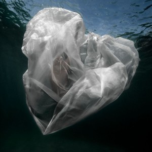Isabel Muñoz. Serie Agua, 2016