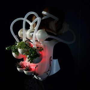 Uh513. The plant sense