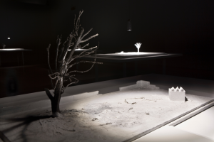 Ignacio Llamas. Sangrar luz. Museo de Santa Cruz
