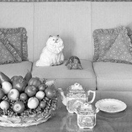 Lynne Cohen. Living Room, Racine, Wisconsin, 1971