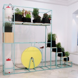 Santiago Morilla funda un bosque en la Galería Fernando Pradilla
