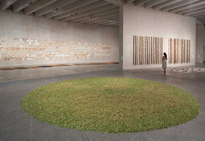 herman de vries, chance & change. Vista de la exposición en MUSAC, Museo de Arte Contemporáneo de Castilla y León. Hasta el 4 de febrero de 2018