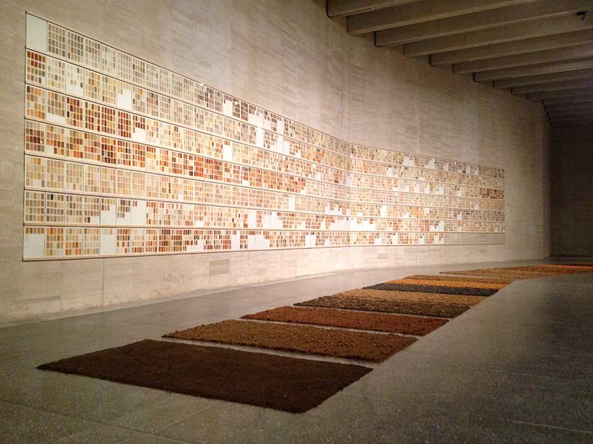 MUSAC. herman de vries. earth from león, los colores de la tierra, 2017