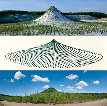 Agnes Denes. Tree Mountain - A Living Time Capsule - 11,000 Trees, 11,000 People, 400 Years (Triptych), 1992-1996, 1992/2013. Cortesía de la artista y Leslie Tonkonow Artworks + Projects, New York. Exposición Hybris en el MUSAC de León