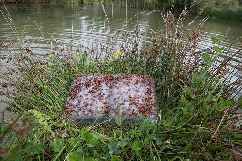Basia Irland. Geleenbeek Pond Book (Limburg, The Netherlands), 2015 Fotografía: Bert Janssen