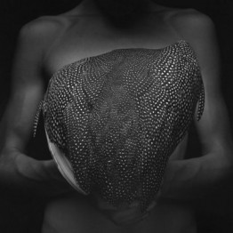 PHotoEspaña 2015 también tendrá sello latinoamericano