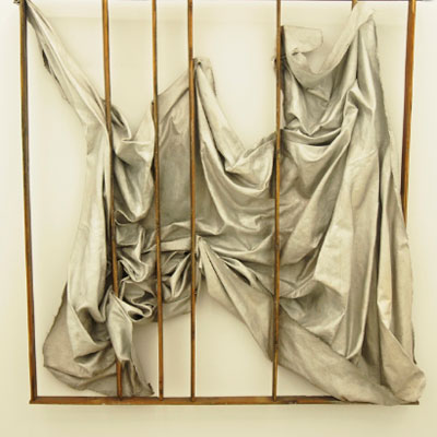 Lucía Vallejo Garay. Cage, 2016