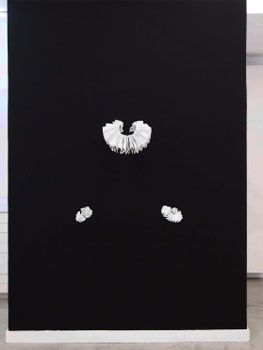 Lucía Vallejo. Instalación Pantoja de la Cruz, 2016