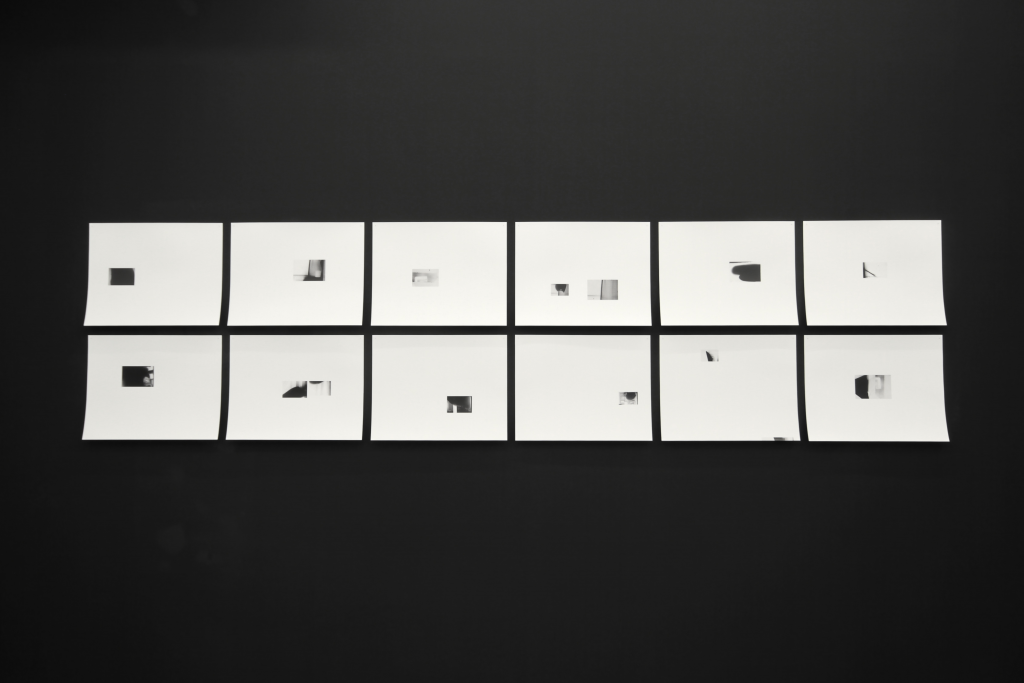 María Tinaut. Super 8 at Grove, 2017