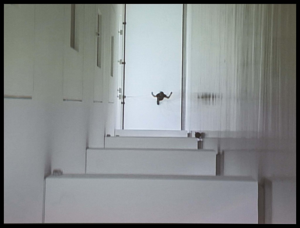 Sergio Prego. Anti, 2005. Museo Reina Sofía. Depósito temporal Colección Soledad Lorenzo, 2014