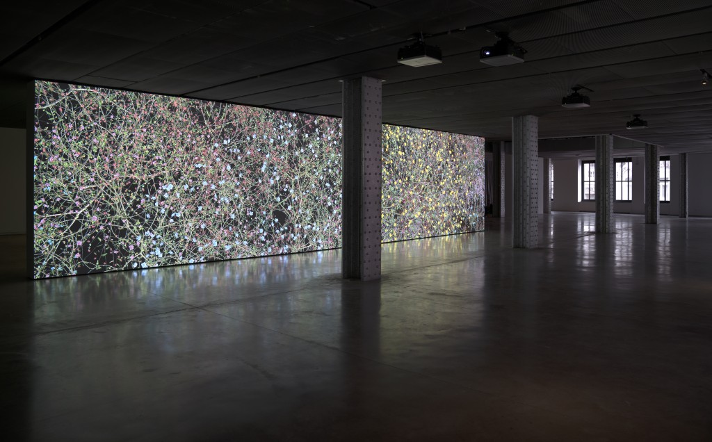 Jennifer Steinkamp. Marie Curie, 2011