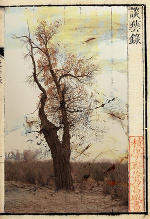 Exposición de Wenjun Fu en el Museu Europeu d'Art Modern de Barcelona, 5, 6 y 7 de mayo 2017.