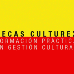 Becas Culturex