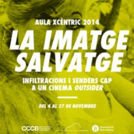 La imagen salvaje. Infiltraciones y senderos hacia un cine outsider