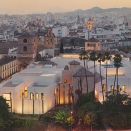 Coordinador del Gabinete de Investigación del Museo Picasso de Málaga