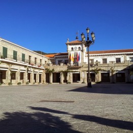 Director/a de Cultura en el Ayuntamiento de Hoyo de Manzanares