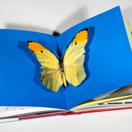 Libros Ivorypress