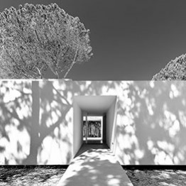 Estampa 2017. Ricardo Oliveira Alves. Casa en Colares II #9563 (Sintra). Presentado en la Bienal de Venecia 2016. Galería Trema