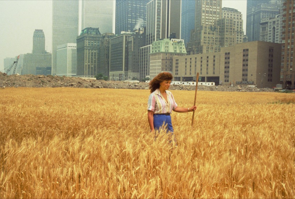 Agnes Denes. Wheatfield-A confrontation, 1982