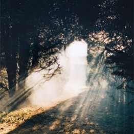 Jane & Louise Wilson. The Silence is Twice as Fast Backwards III, 2008