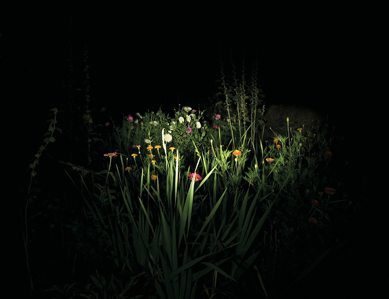 Cristina Fontsaré. Night garden, 2006. 