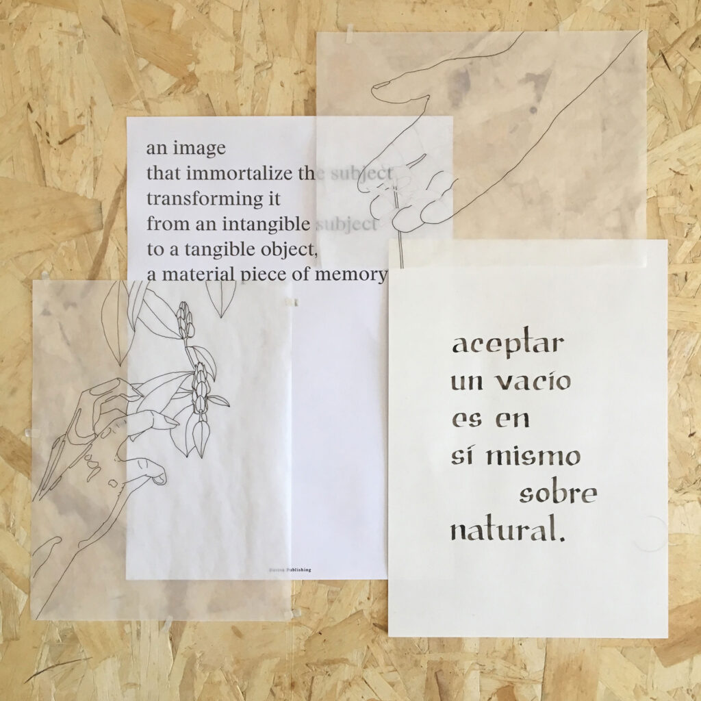 David Ortiz Juan. Collage, 2019