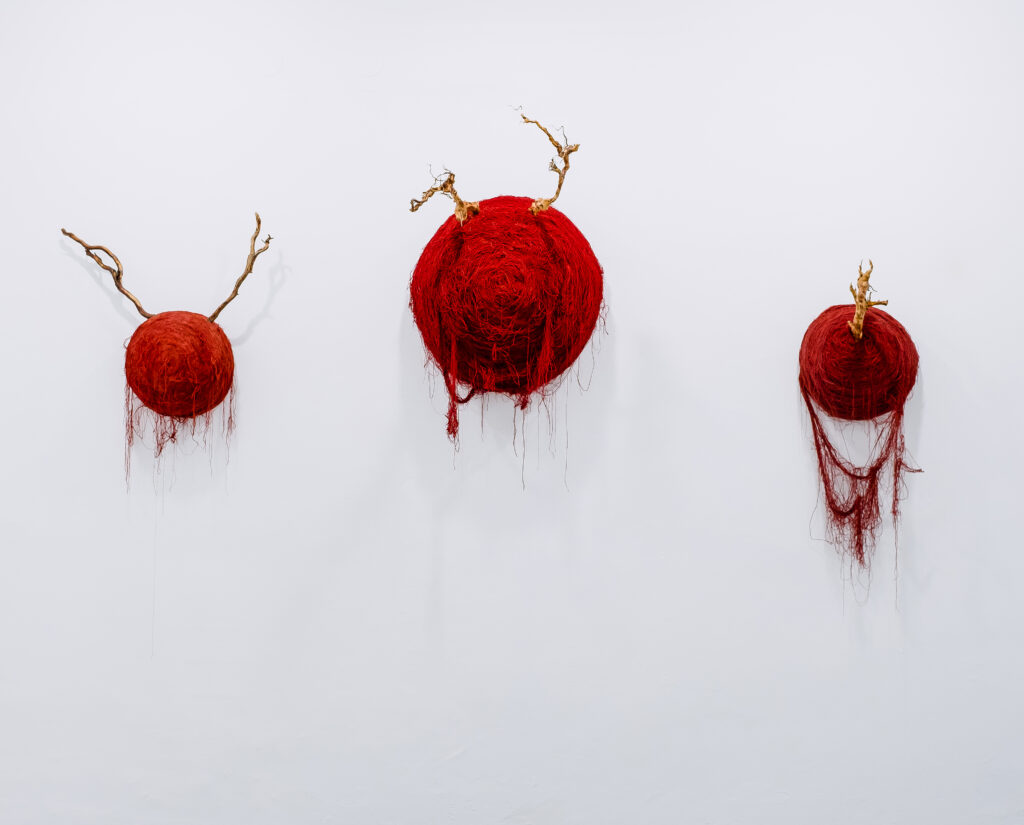 Laura Segura Gómez. Faciem, 2020