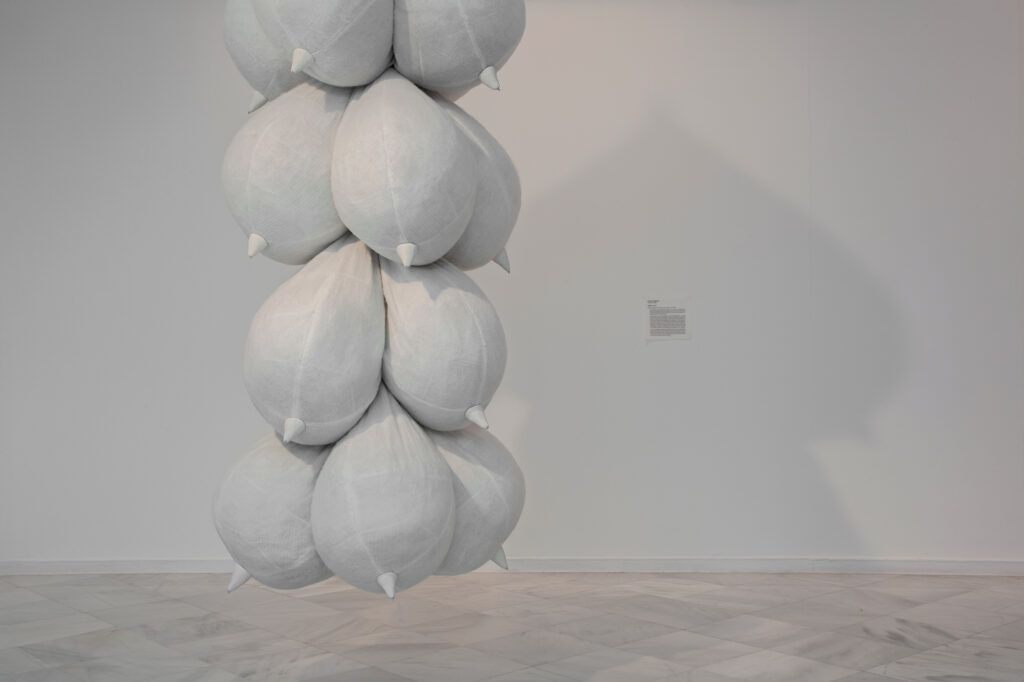 Laura Segura Gómez. Plétora, 2024