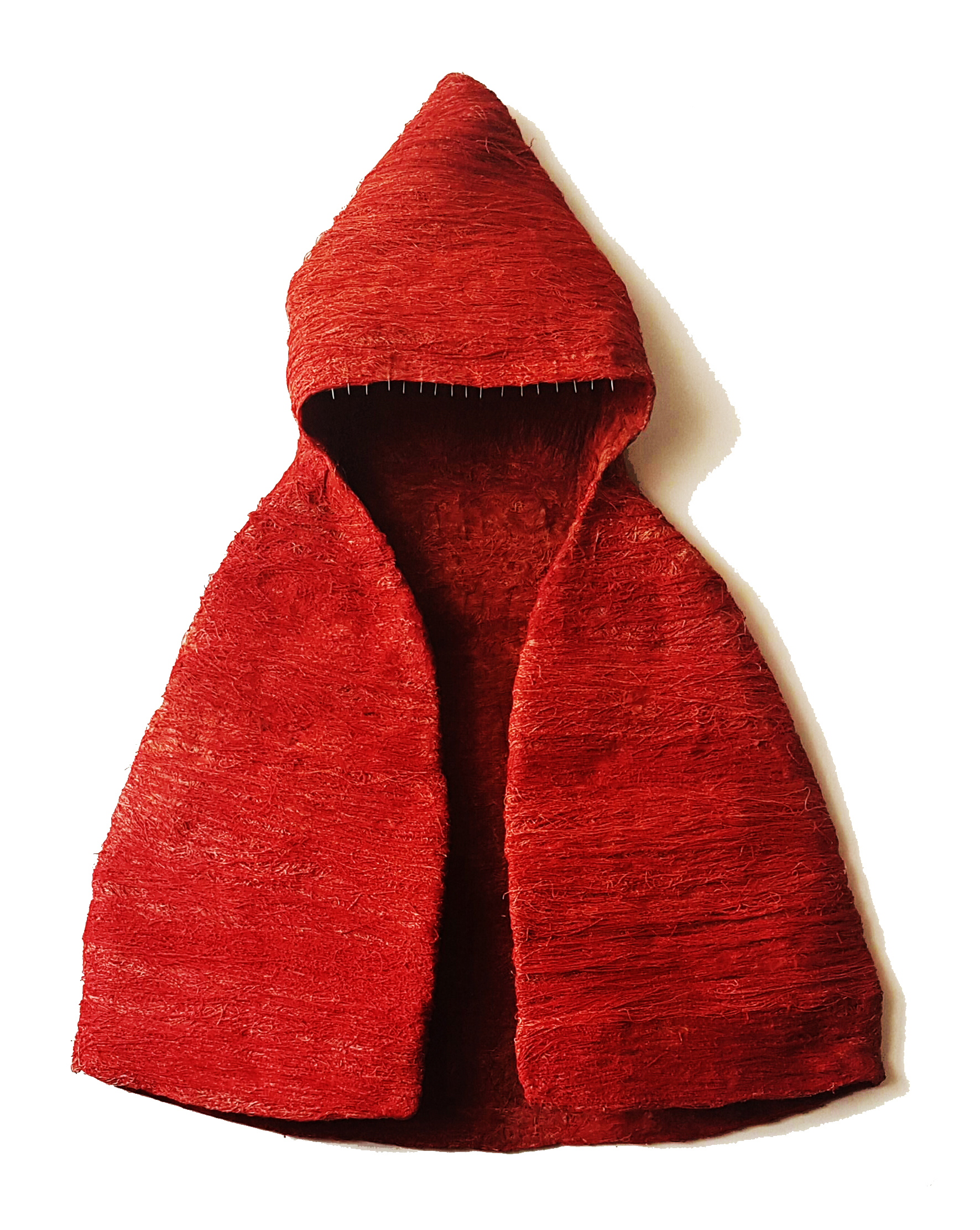 Laura Segura Gómez. Protecti, 2017