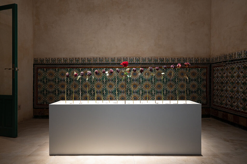 Rafa Chinchilla. Emprendería la fuga