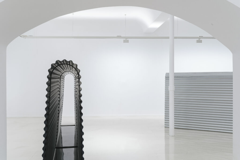 Rafa Munárriz. Extruded Body, 2019