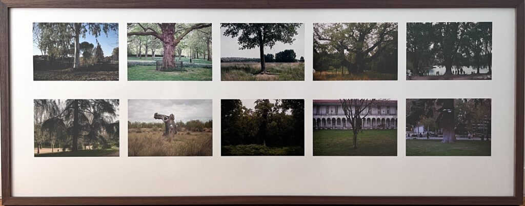 Susana Delgado. Landscape: point of view