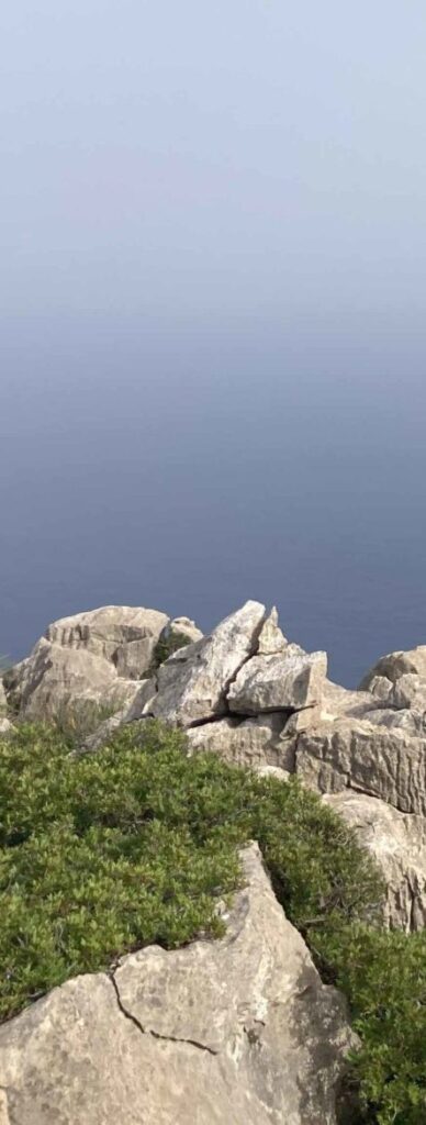 Biennal B. Mallorca