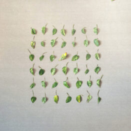 David Martínez Calderón, premiado en el último Certamen Nacional de Pintura Ciudad de Antequera