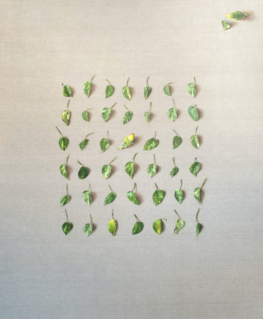 David Martínez Calderón. Intentar encajar