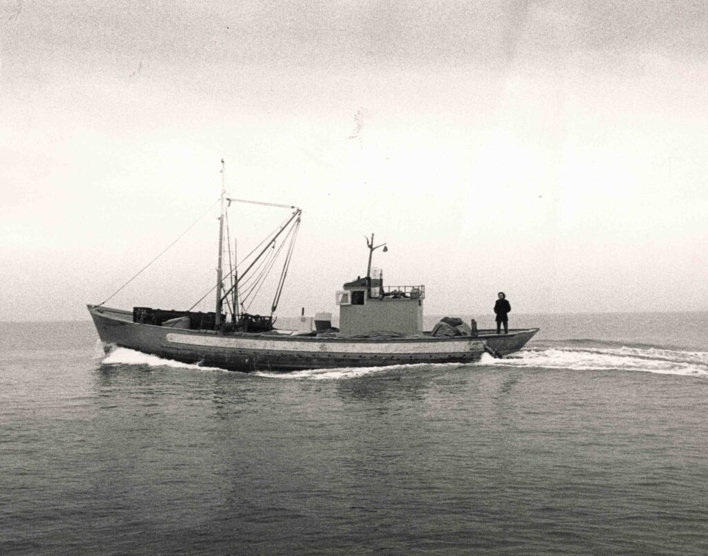 Jannis Kounellis. Sin título, 1969. © Estate of Jannis Kounellis, 2025. Fotografía: Mimmo Iodice