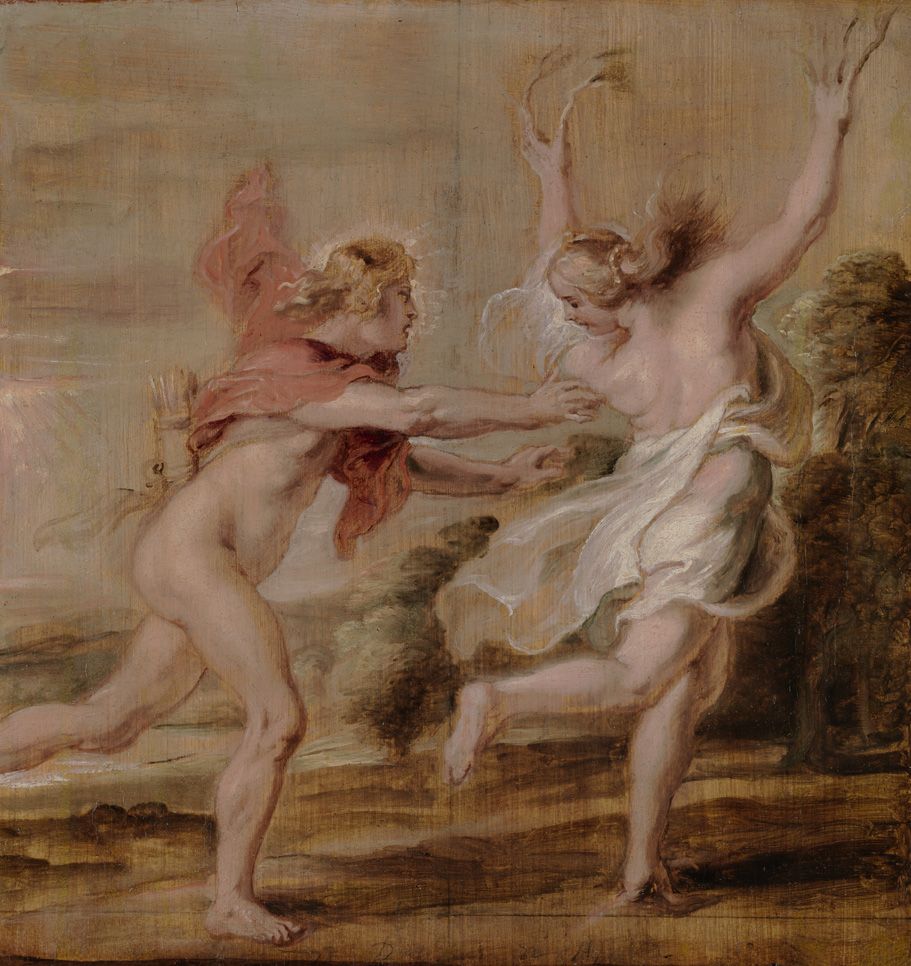 Rubens. Boceto de Apolo y Dafne para la Torre de la Parada. Musée Bonnat-Helleu, Bayona