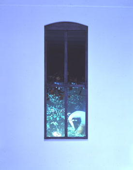 Richard Whitman, Window, 1963