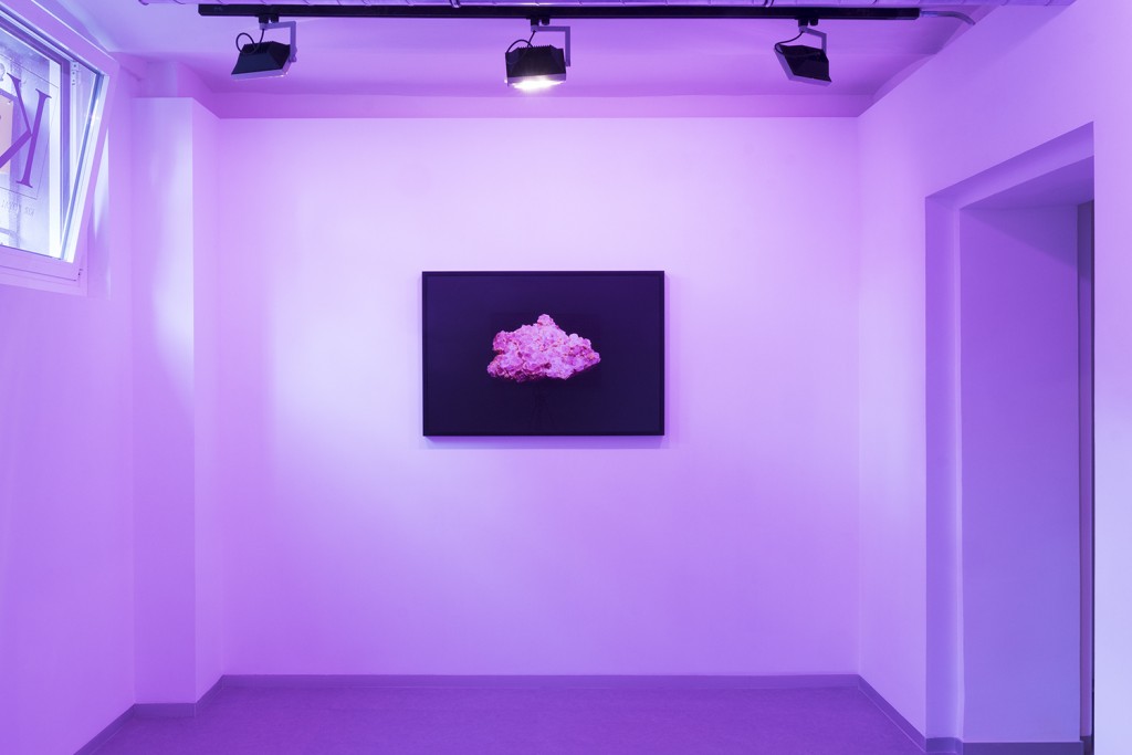 Jorge Isla. LUV-A. Instalación en la Kir Royal Gallery, 2017