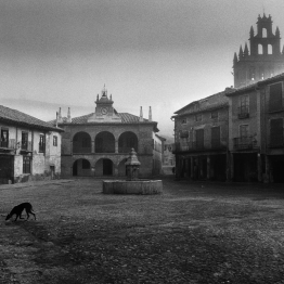 Rafael Sanz Lobato. Ayllón. Segovia, 1967